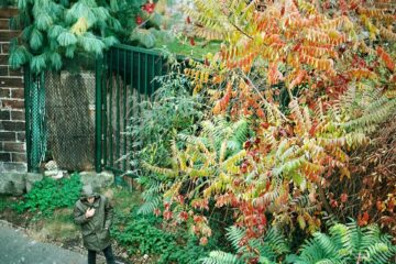 941156 186081234885886 222931710 n