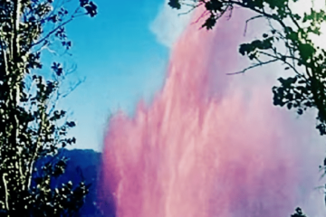 SHEPARD ELECTROSOFT IN PUBLIC