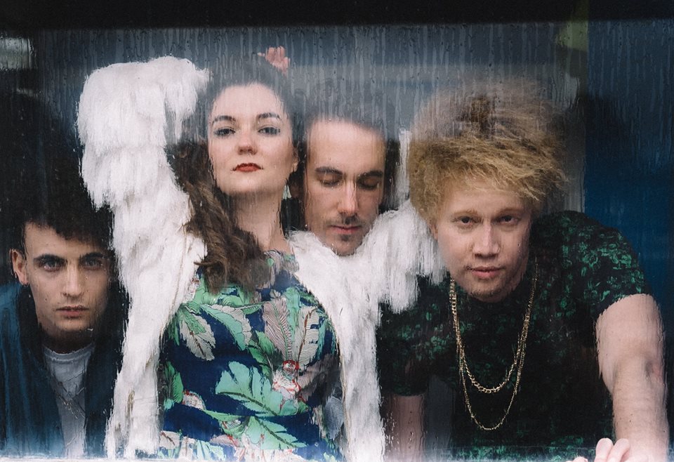 17022114 1338610529532721 5698361081864210146 n