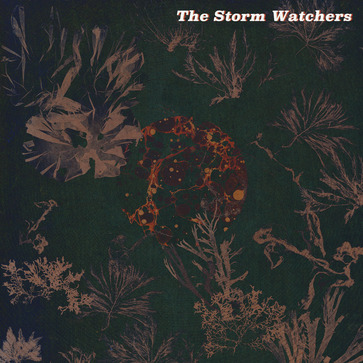 The Storm Watchers
