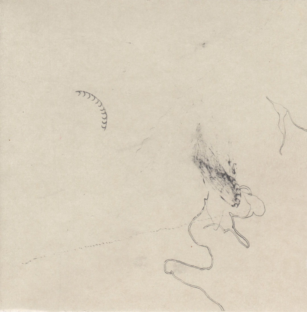 AUGUSTIN SOULARD ROSS HESELTON