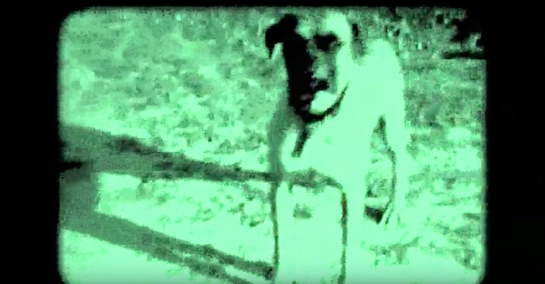 Capture d’écran 2019 03 12 à 09.46.34