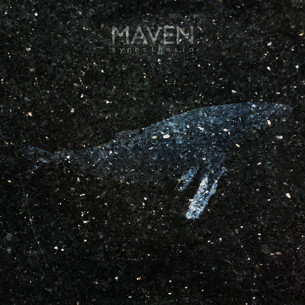 Maven