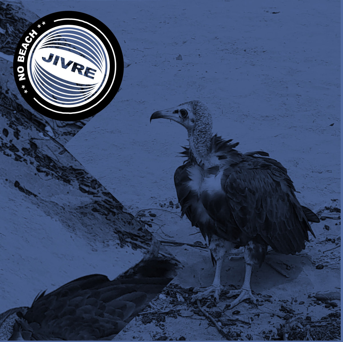 JIVRE No Beach
