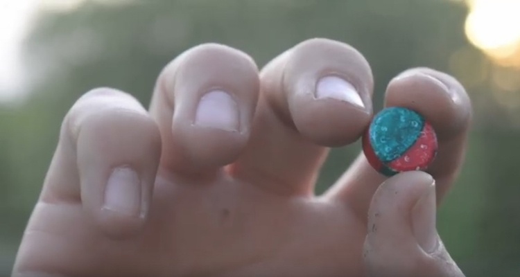 Sosses Gribysh Apres