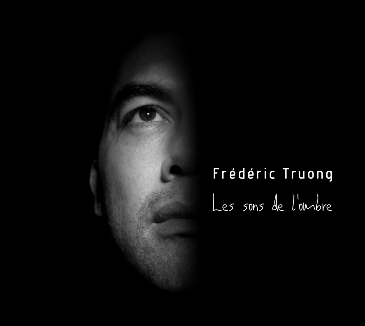 Frederic Truong Les sons de lombre