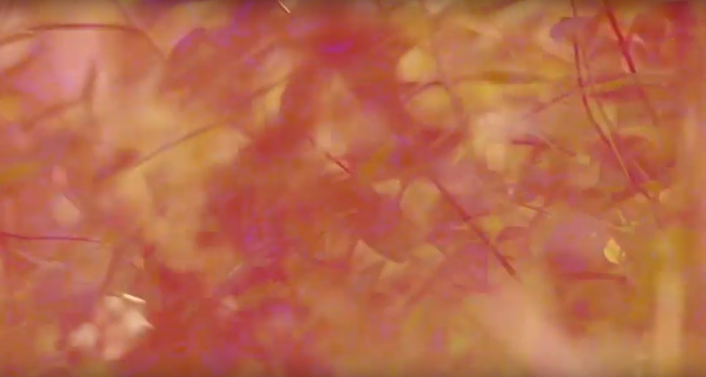 feedback.administration.theory