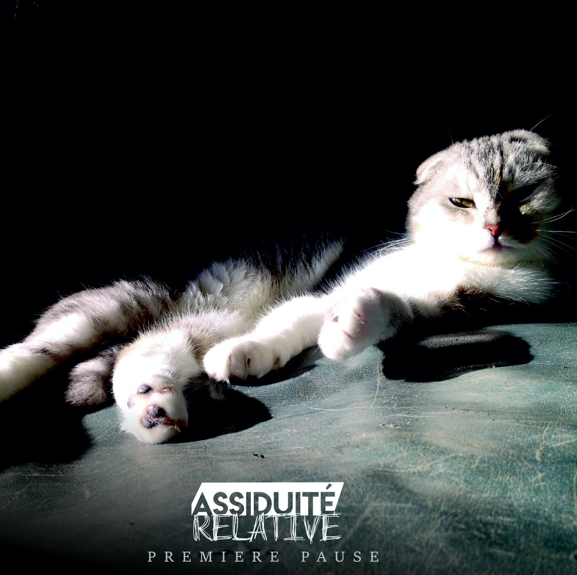 ASSIDUITE RELATIVE. PremiEre Pause