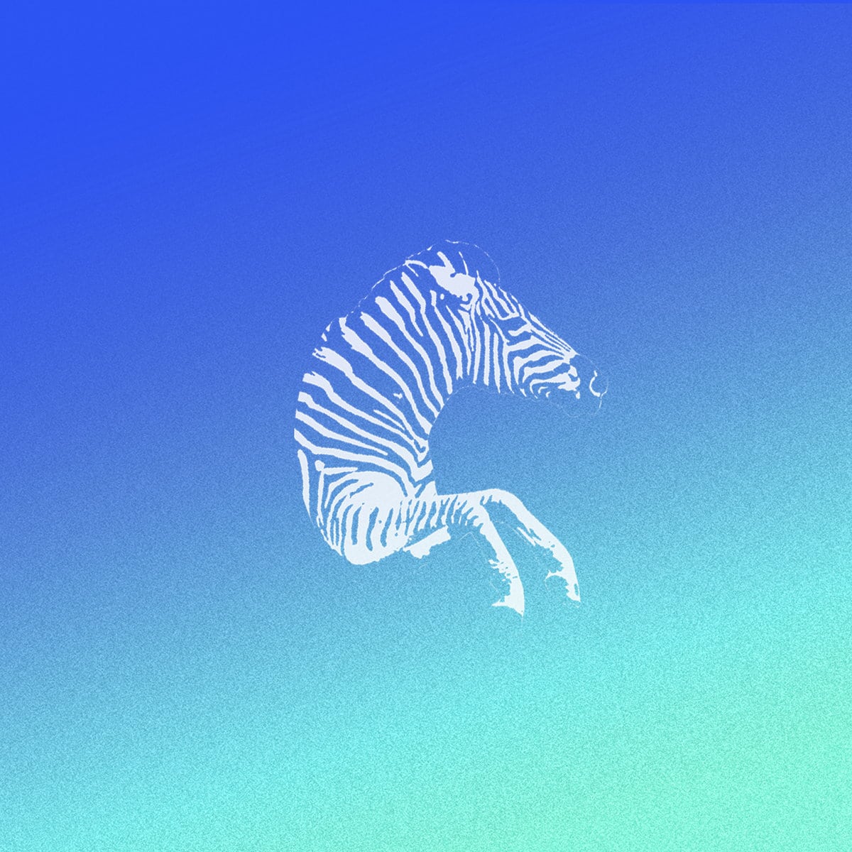 Philip Pentacle zebre