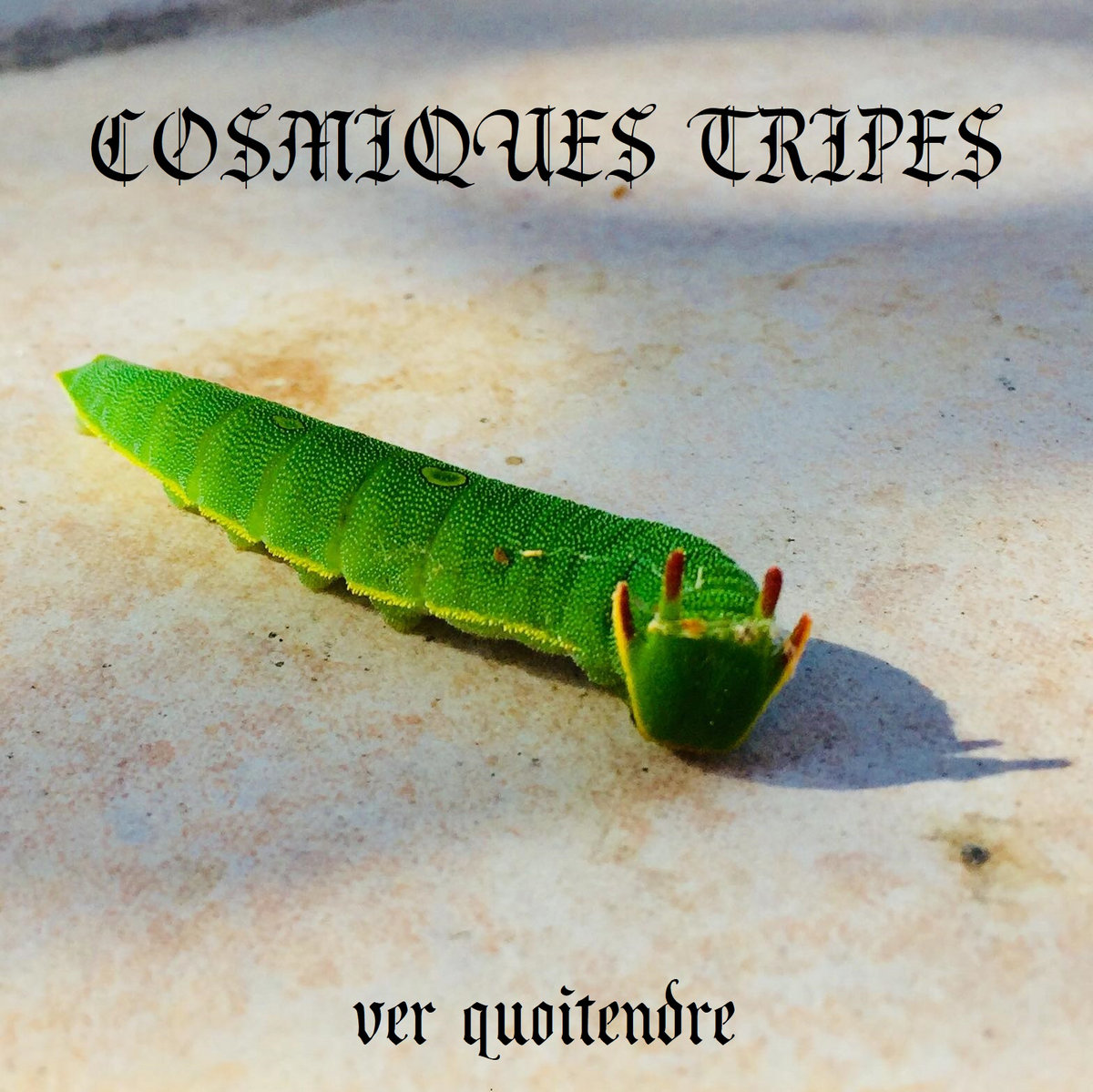 cosmiques tripes ver quoitendre