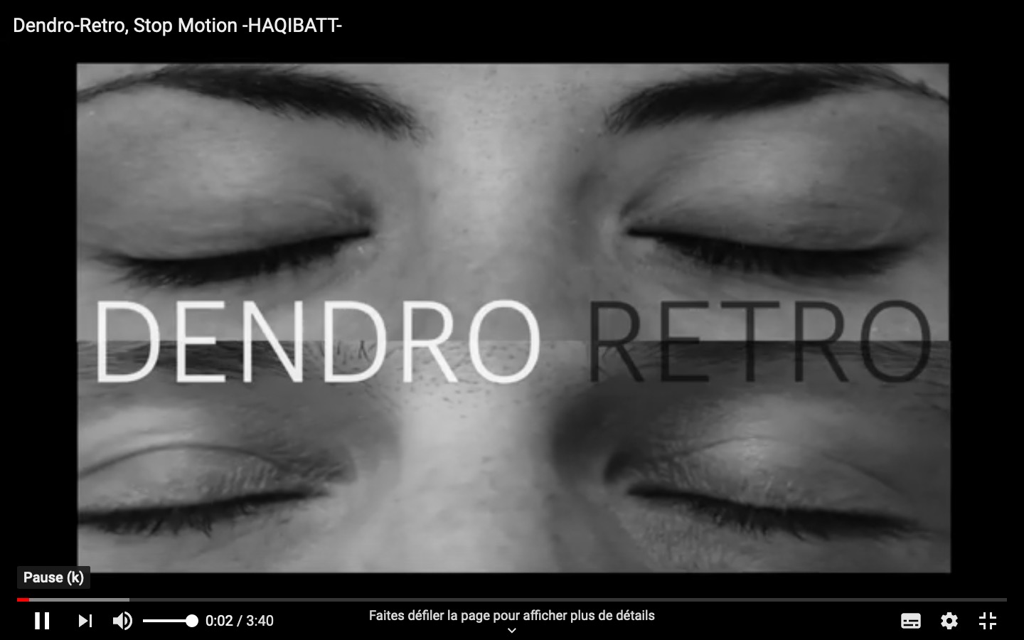 haqibatt dendro retro