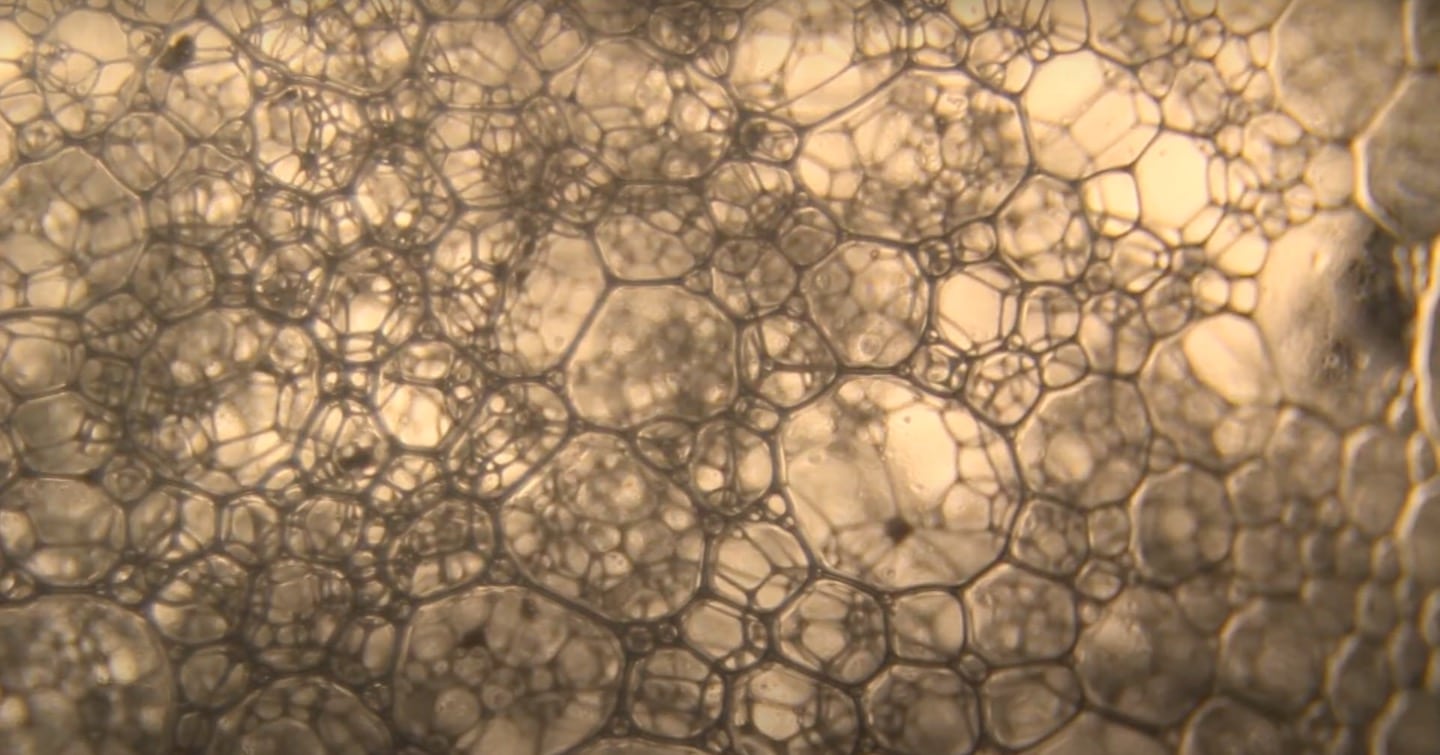 modhify anamorphosis