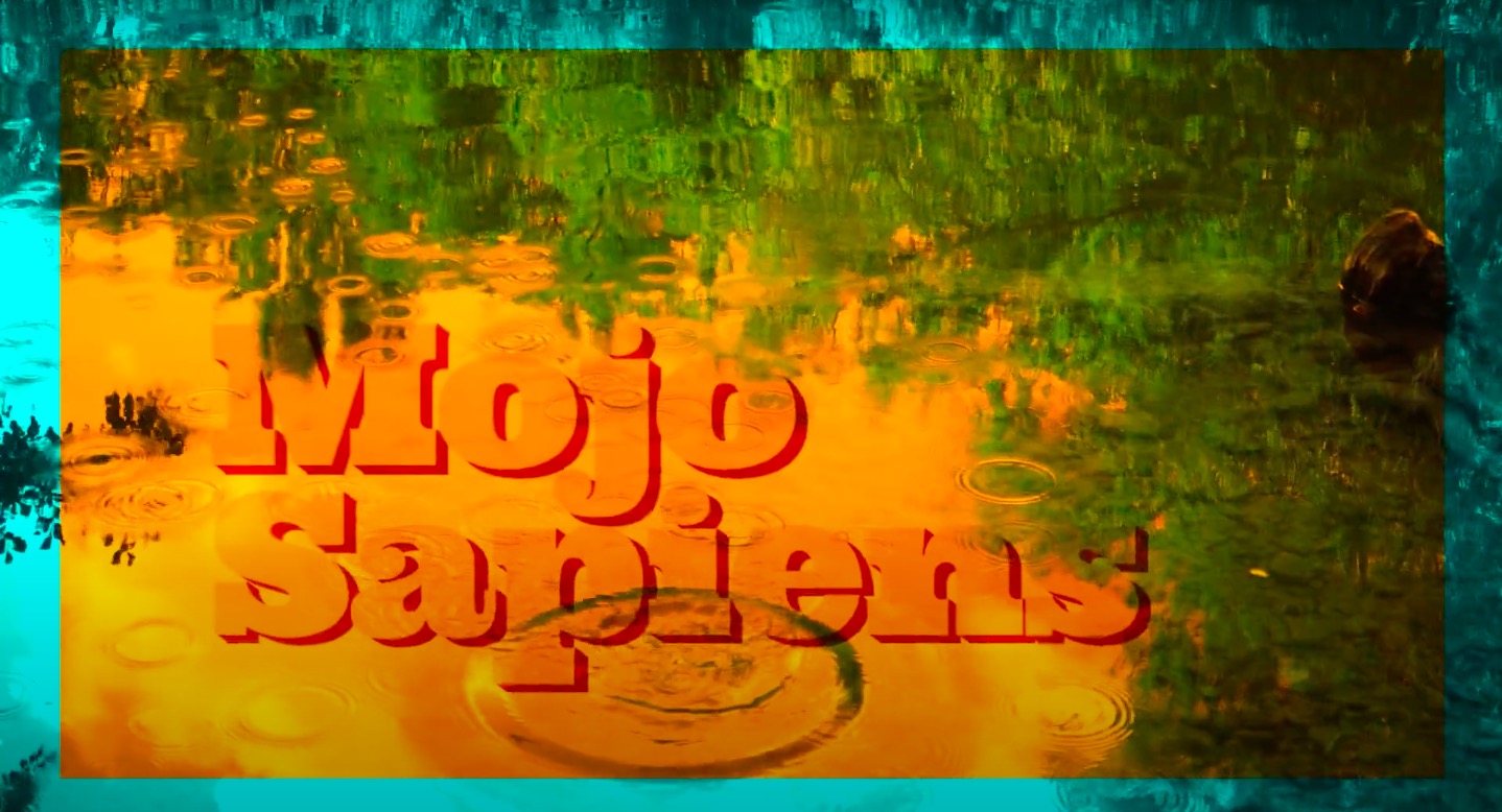 MOJO SAPIENS Love Always