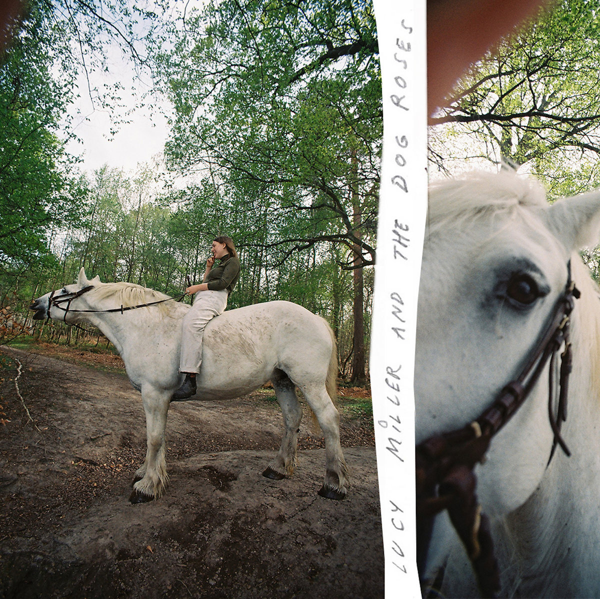 lucy miller the dog roses