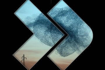 Djoss Davis Danse Nocturne