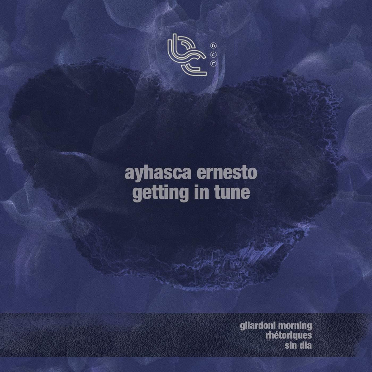 Ayhasca Ernesto getting in tune