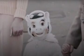 Les oiseaux du quartier Le pouvoir du chat