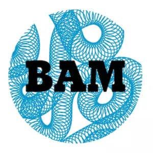 BAM Metz logo