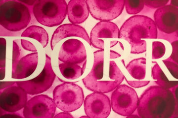 dorr