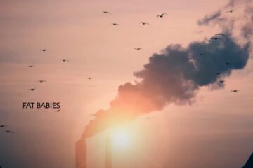 FEU Fat babies