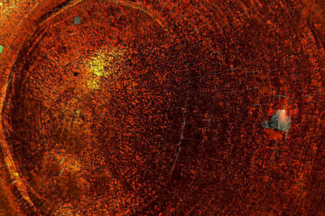 Kalevi Uibo psychotectonism