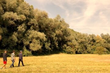 le pouvoir du chat ici demain 1