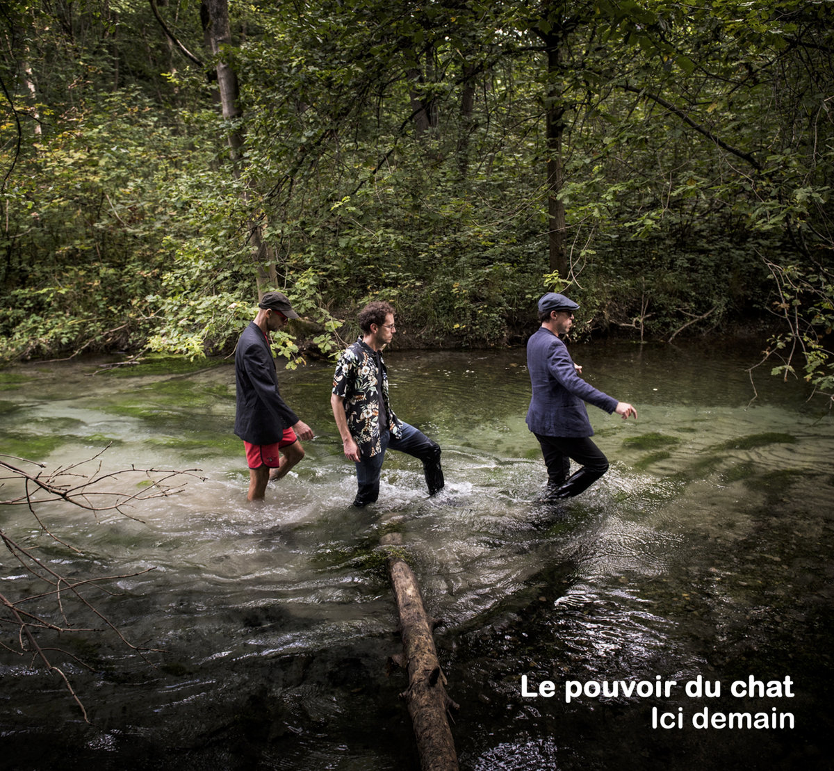 le pouvoir du chat ici demain