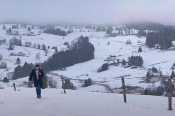 the celtic tramps brave marin