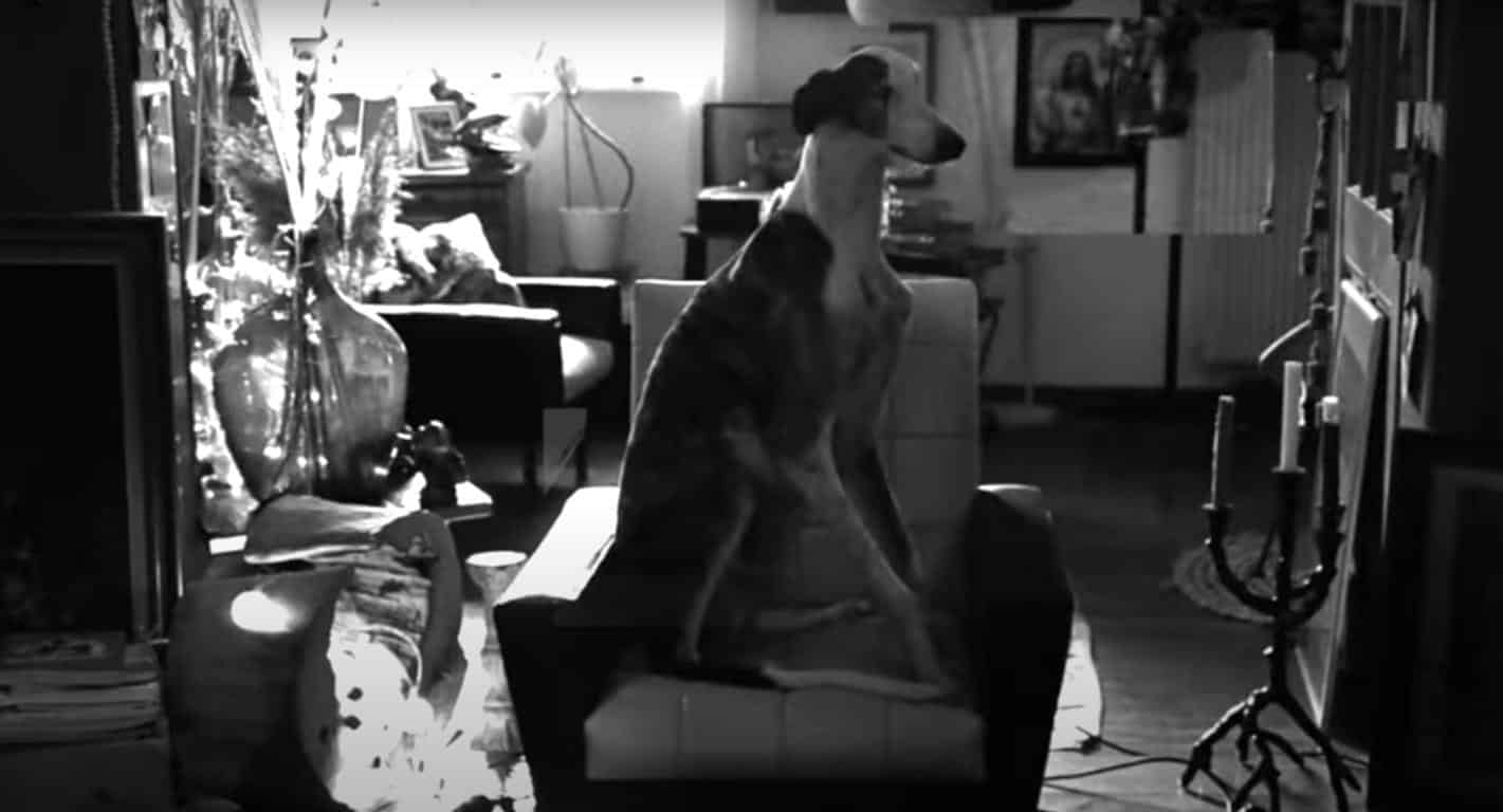 nic u comme somnambule