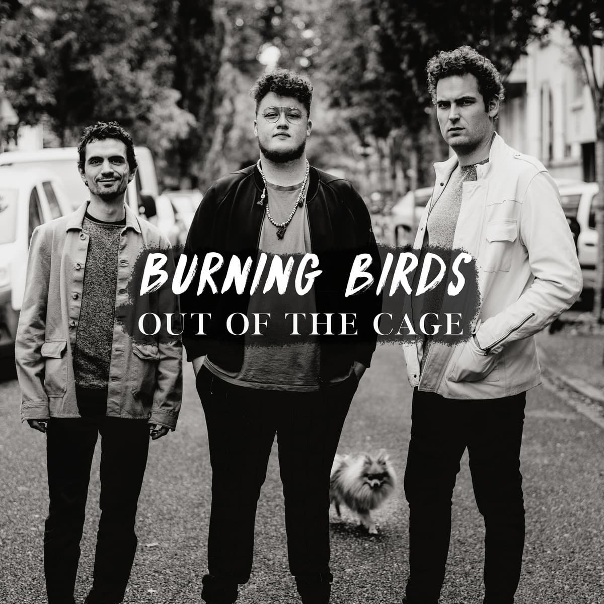 BURNING BIRDS Out of the Cage