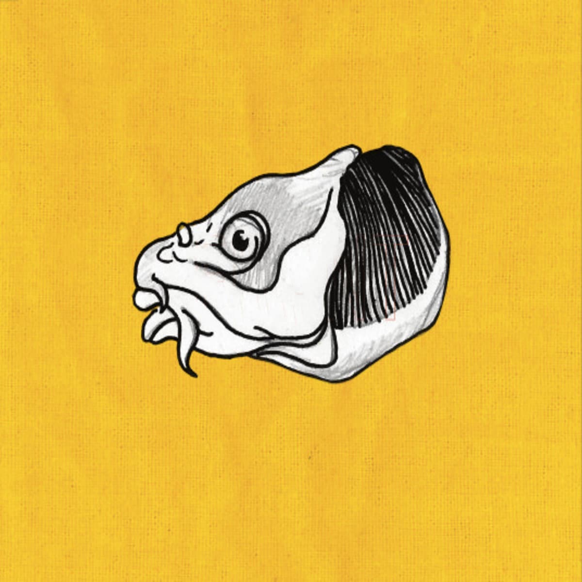 prokop love letters from across the street 1