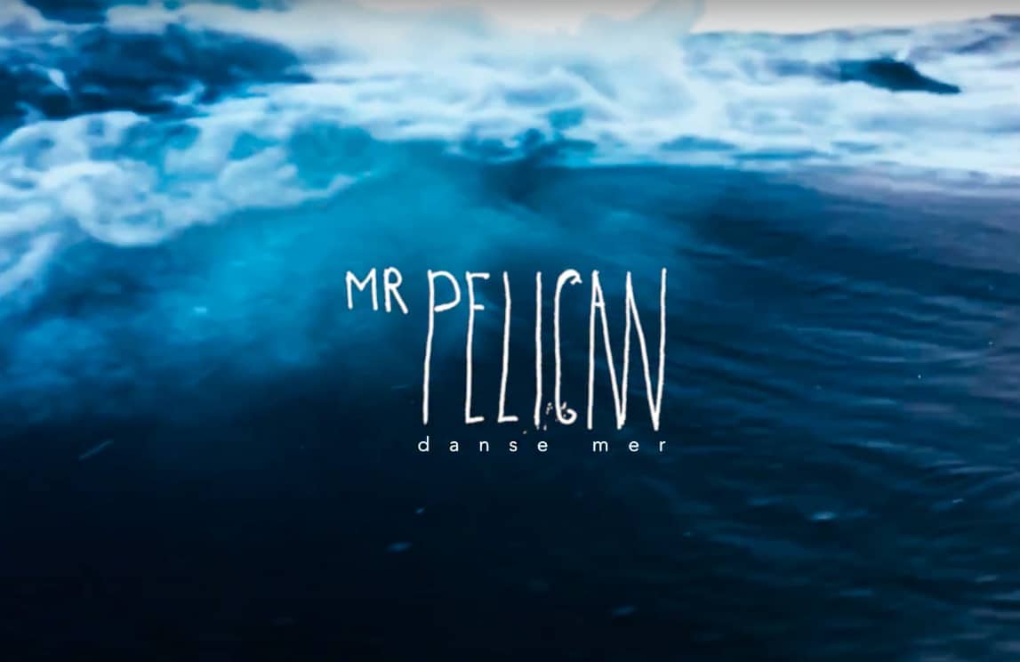 mr pelican danse mer