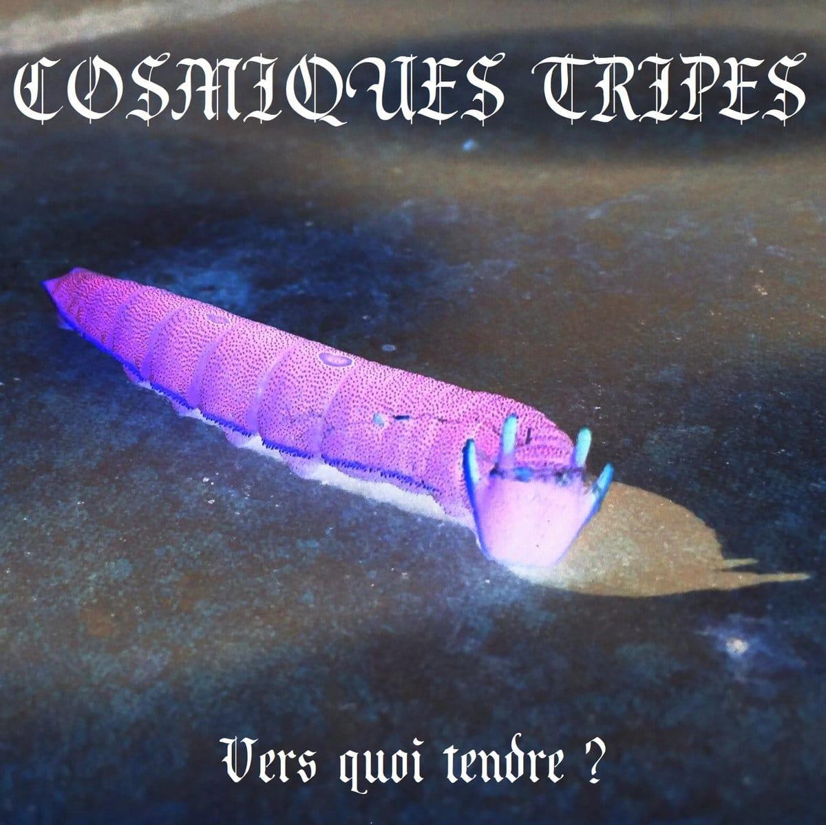 Cosmiques Tripes Vers quoi tendre