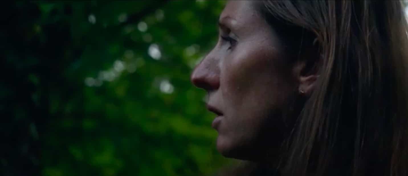 DEAD FICUS Remission