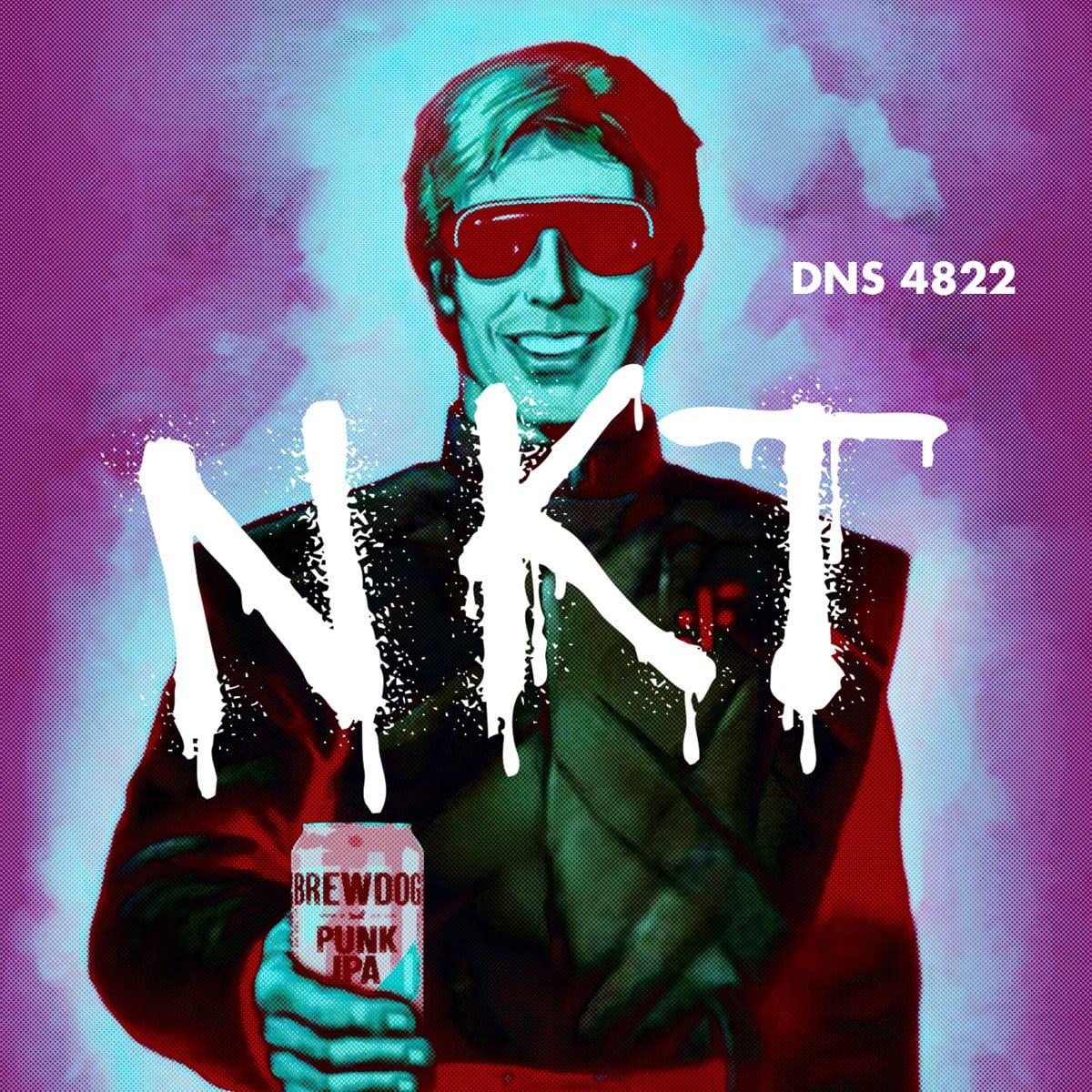 NKT DNS 4822
