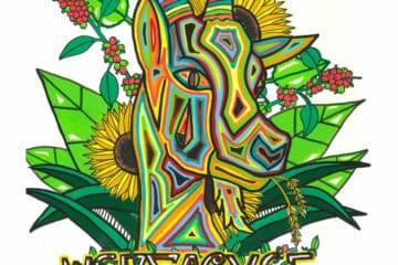 Yergachef Back In The Game