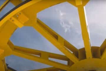 Mojo Sapiens The Only One