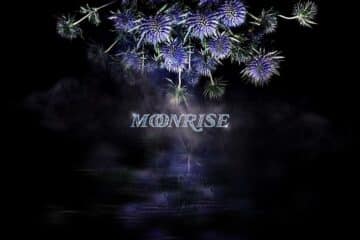 silver hill moonrise