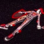 BLACK BONES Le Temps Presse