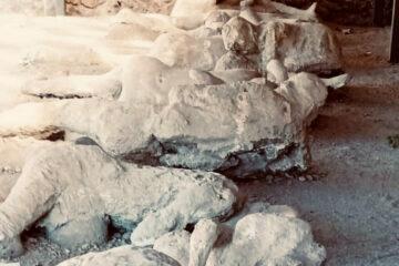 Diego ManuschevichJavier Valdebenito