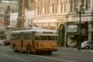 SHAKE THE DISEASE ONE OF US