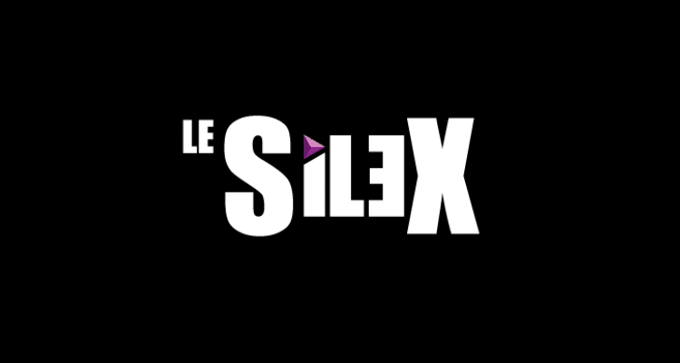 le silex