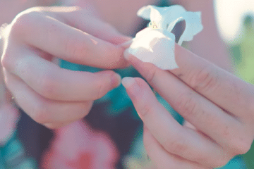 Let Us Dream Darling