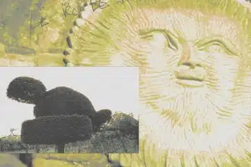 JupiterGrandeTacheRo Le Roi De Paille