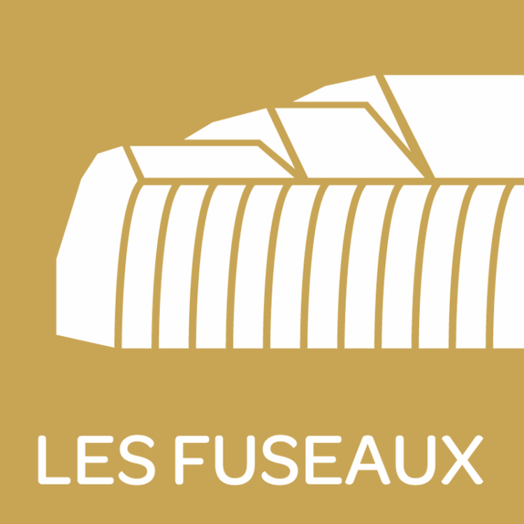 14068100 1777143392563904 3363418891008207159 n 2.png