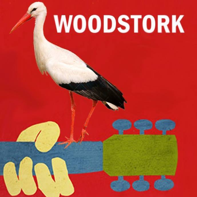 16730329 727924140708452 8870317255098982170 n 2017 11 17 11 05 46 utc.jpg