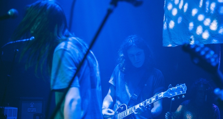 gaunt and the raindrops 1.jpg