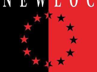 nls logo petit 1 1.jpg