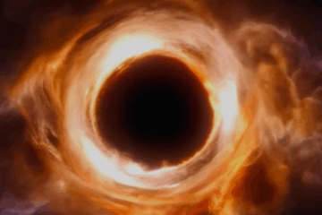 No Comment Don't believe