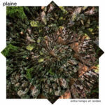 Plaine Entre temps et landes